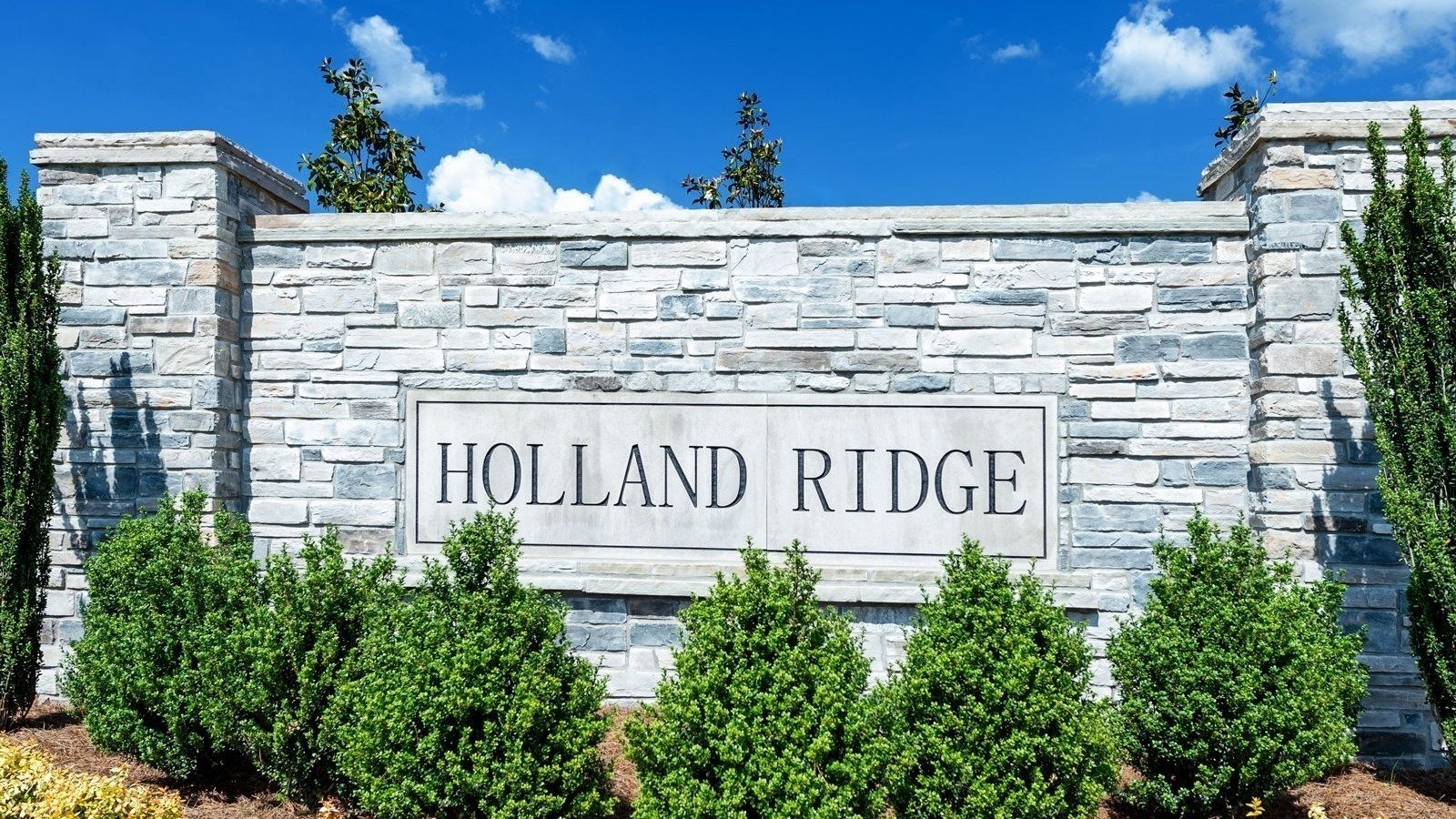 Petition · Holland Ridge Community Meritage Homes Builder