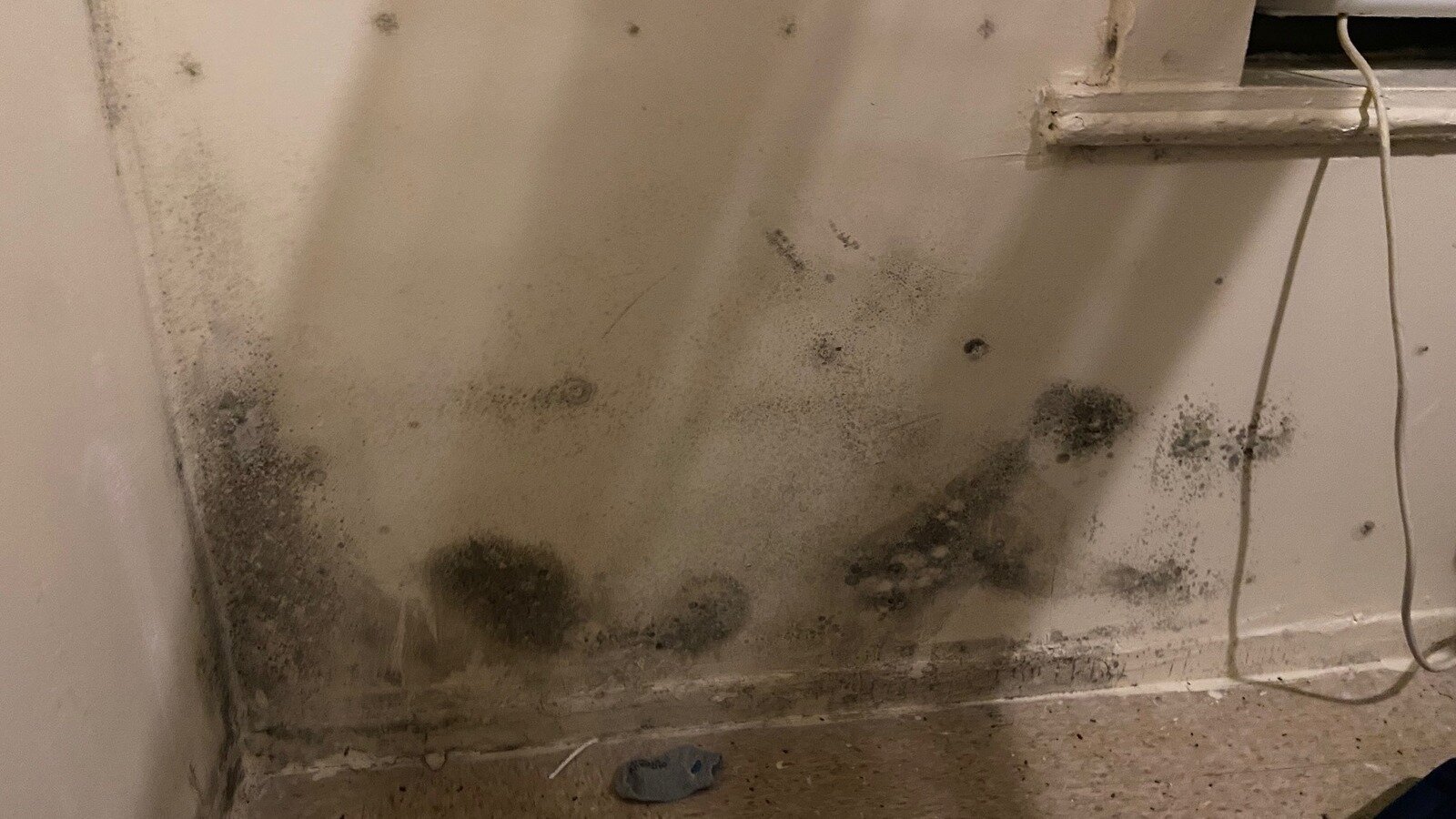 Petition · Demand Immediate Action for Unhealthy Living Conditions at