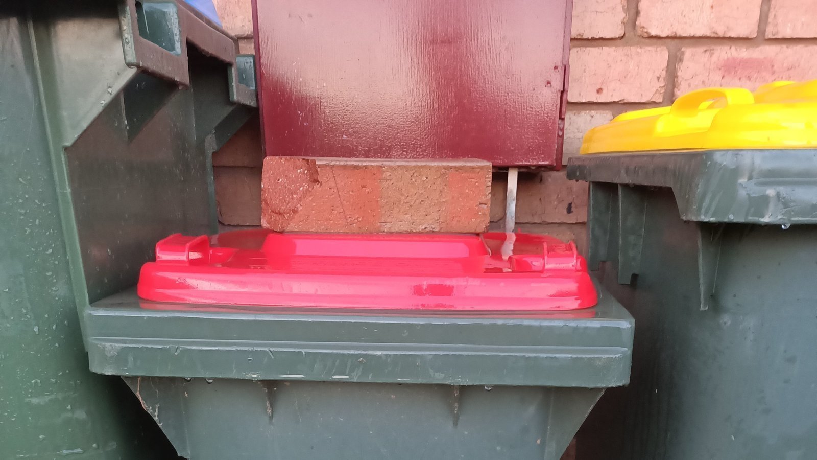 Petition · Empty our red bins weekly and save our local bushland from