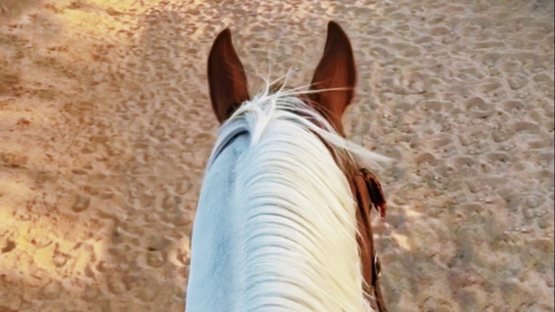 Petition · Mira Loma/Jurupa Valley Agricultural Rezoning United