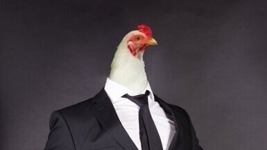Petition · Promote chickens in Political and Financial Institutions