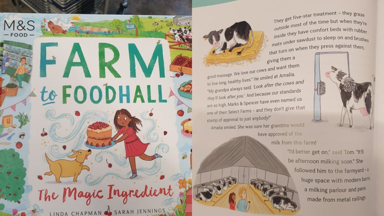 Petition Say NO To M S s New Animal Farming Propaganda Book For petition-say-no-to-m-s-s-new-animal-farming-propaganda-book-for