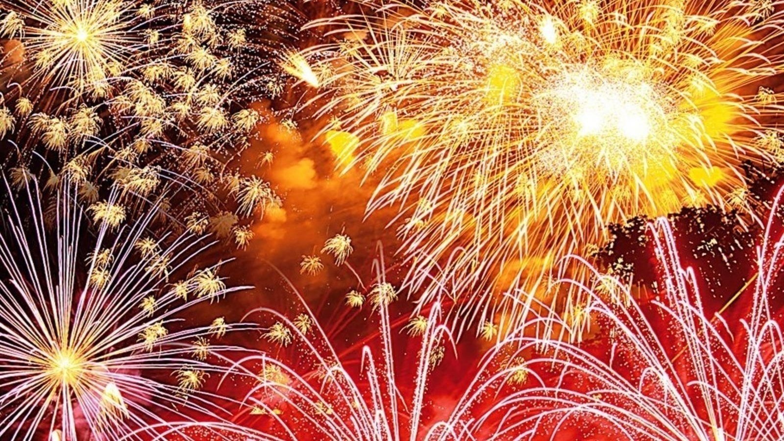 Petition · Verbot von Silvesterfeuerwerk durch Privatpersonen · Change.org