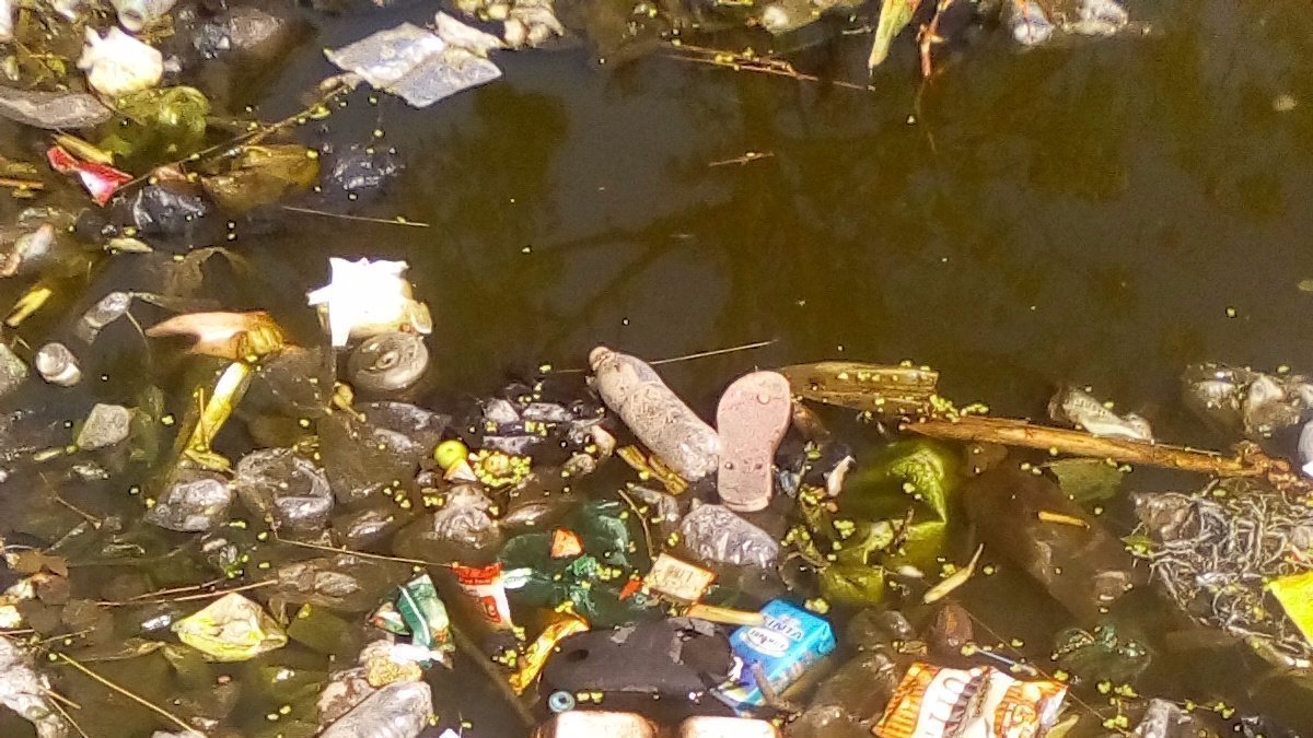 Petition · The Zambian Government must ban non biodegradable plastics