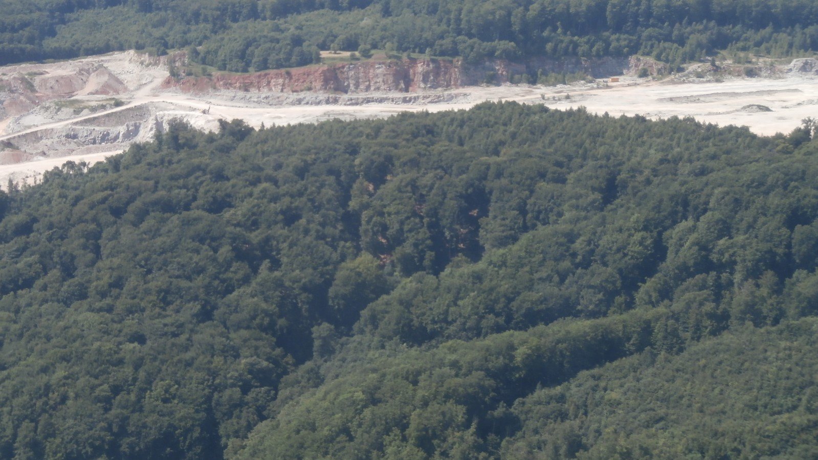 Petition · Raumordnungsverfahren zur Nutzung der Gipskarstlandschaft