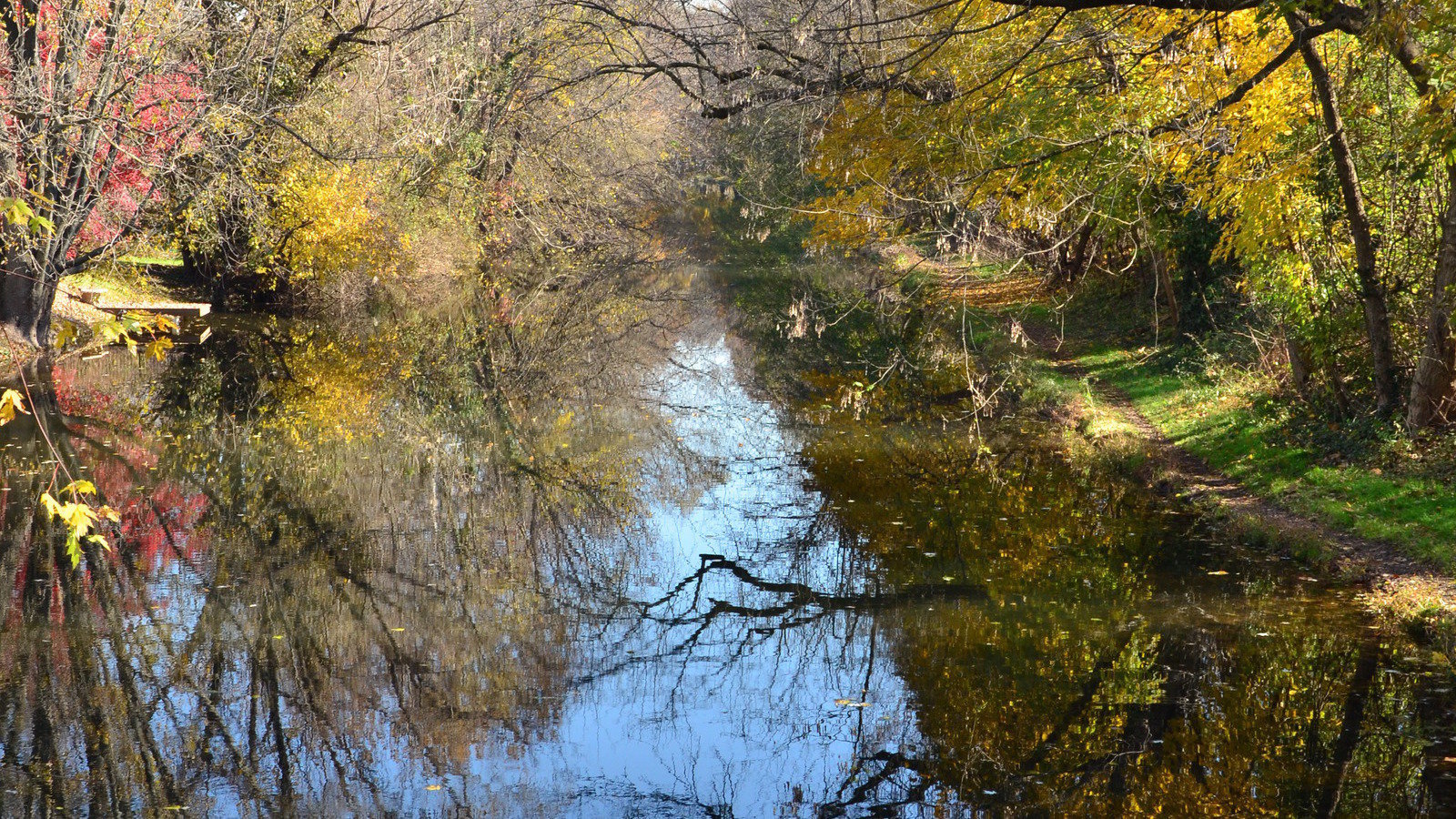 Petition · Please Ban Plastic Bags in Pennsylvania ·