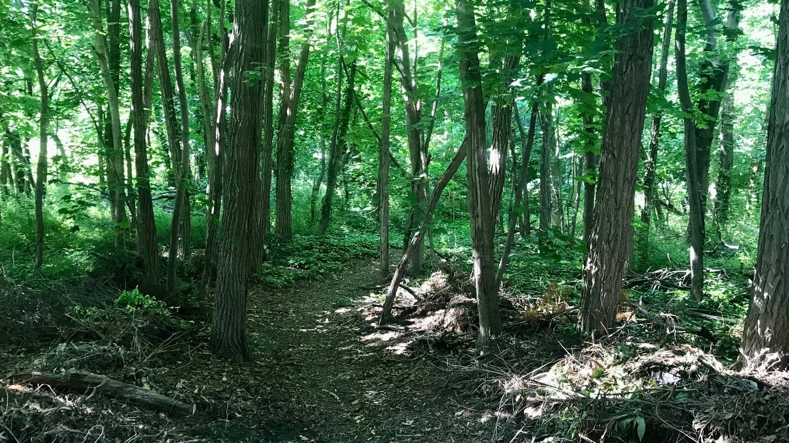 Petition · Save Lake Lefferts woods in Matawan, NJ Matawan, United