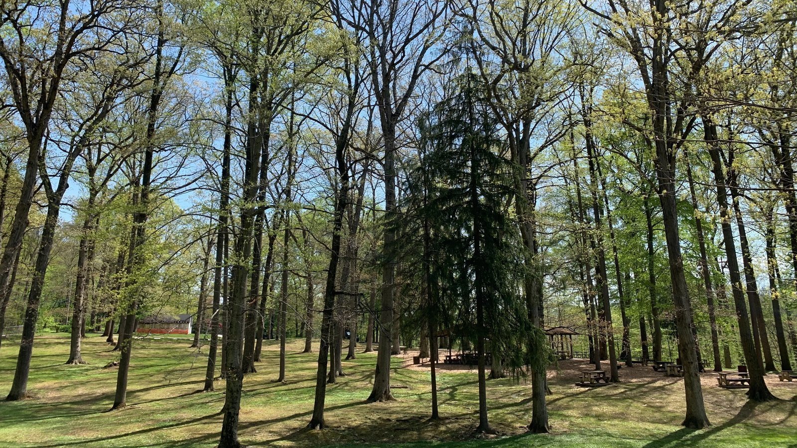 Petition · Save Fenimore Woods United States ·