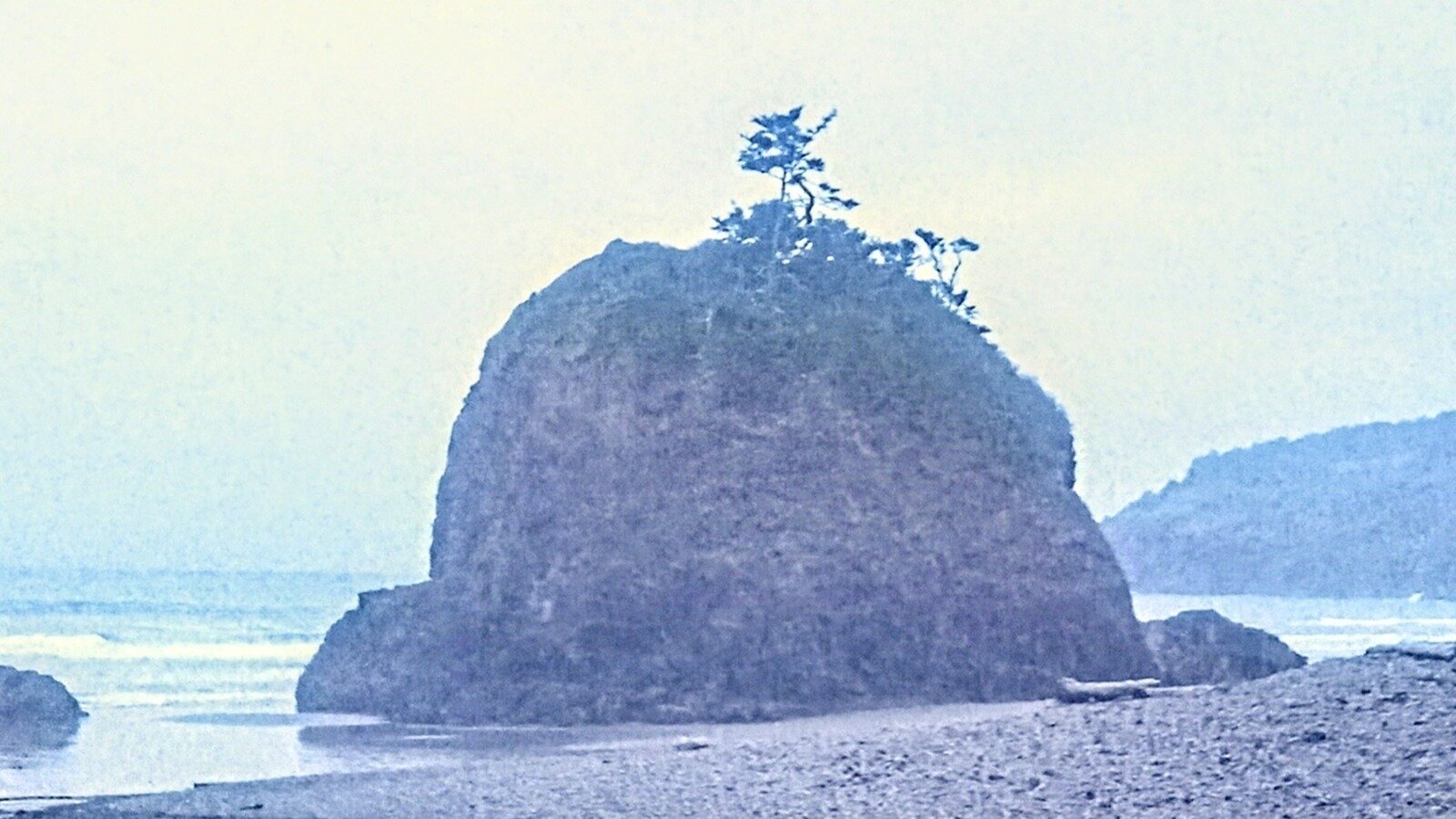 Petition · Mandate Affordable Auto Insurance Policies for