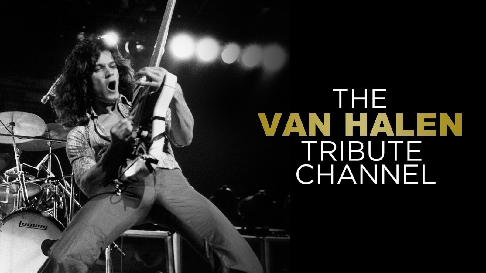 Petition Make The Van Halen Channel On SiriusXM Permanent Change