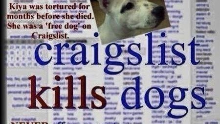 Peion Craigslist Shut Down Change Org Shut Down Change Org