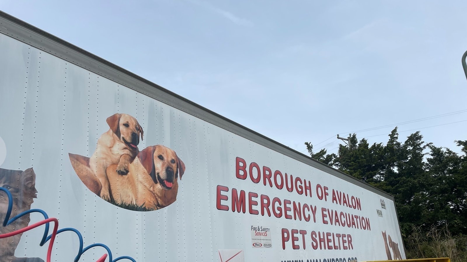 Petition · Support for Avalon Dog Park United States ·