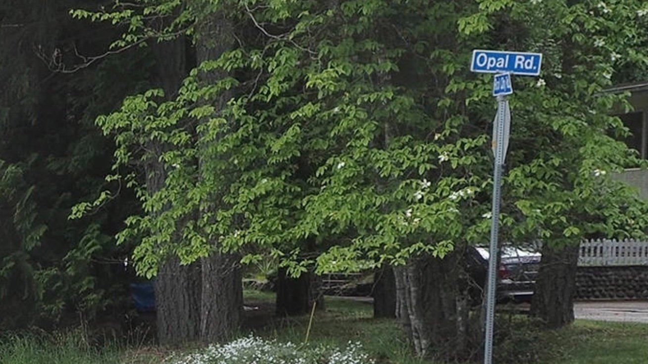 Petition · Yellow Line For Opal Road Nanaimo, Canada ·