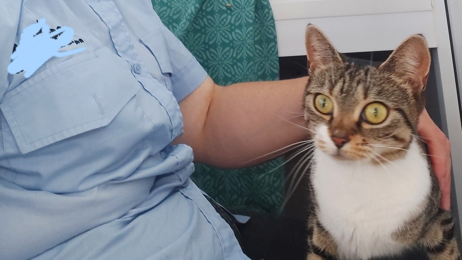 Petition · Introduce energy price caps for charities and small