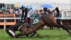 Petition · Ban Horse Racing! - United States · Change.org