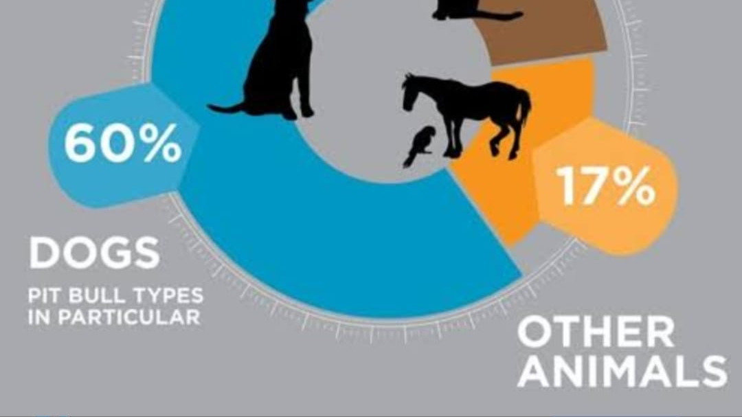 Petition · PREVENTION OF ANIMAL ABUSE. India ·