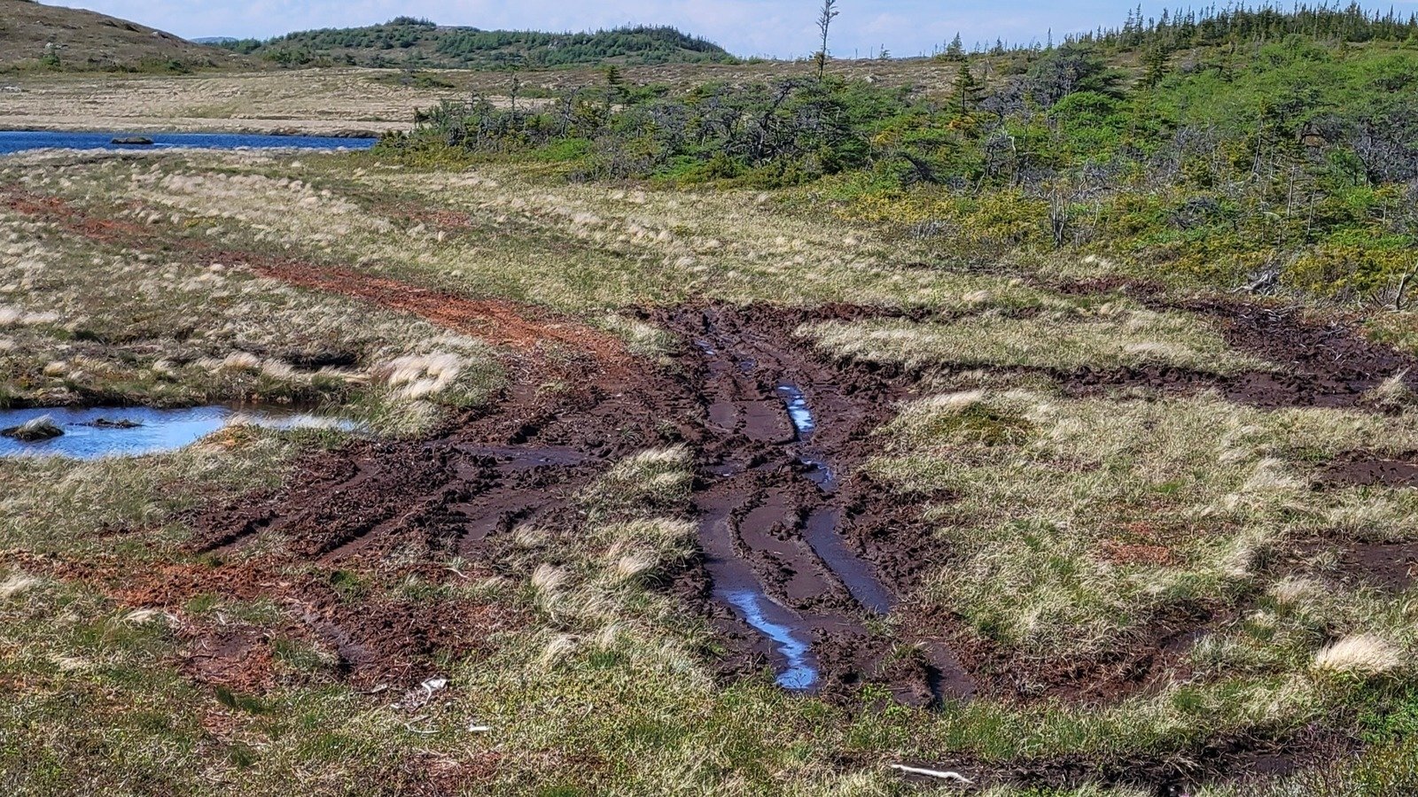 Petition · Approval of Crown Land trail for the Southern Shore Trailway