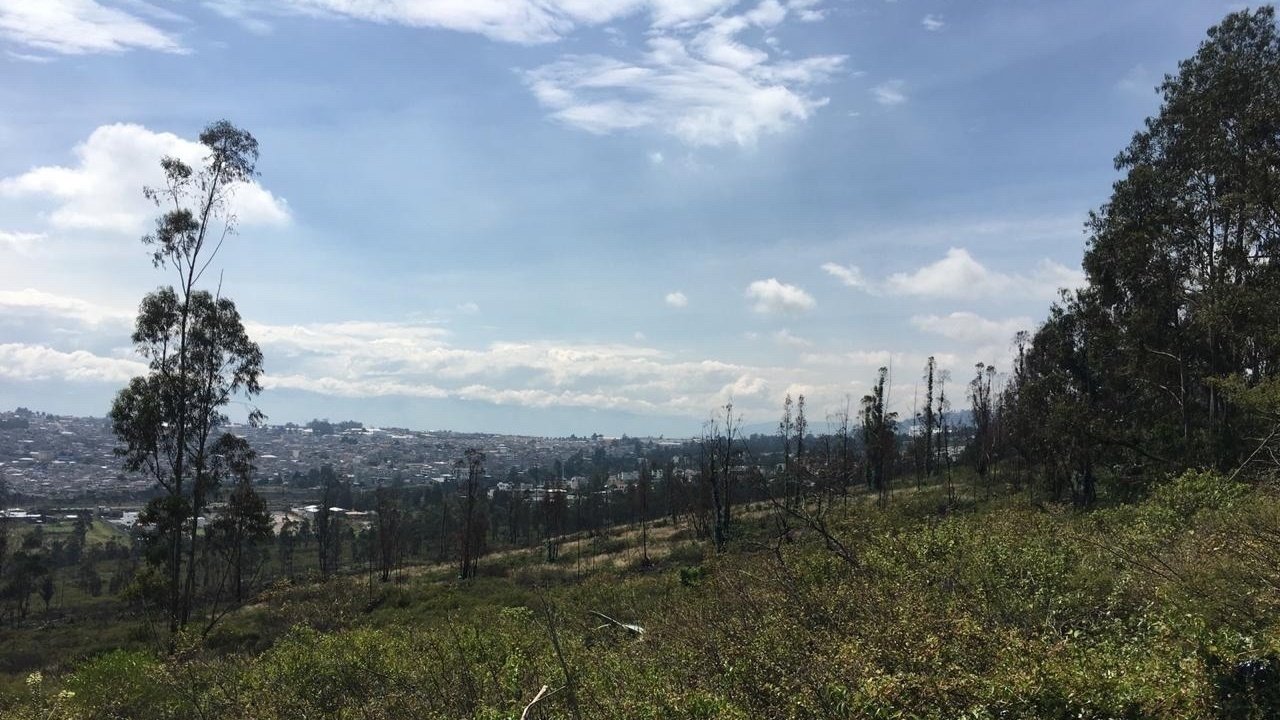 Petición · Preservar el único bosque que existe en el nororiente de