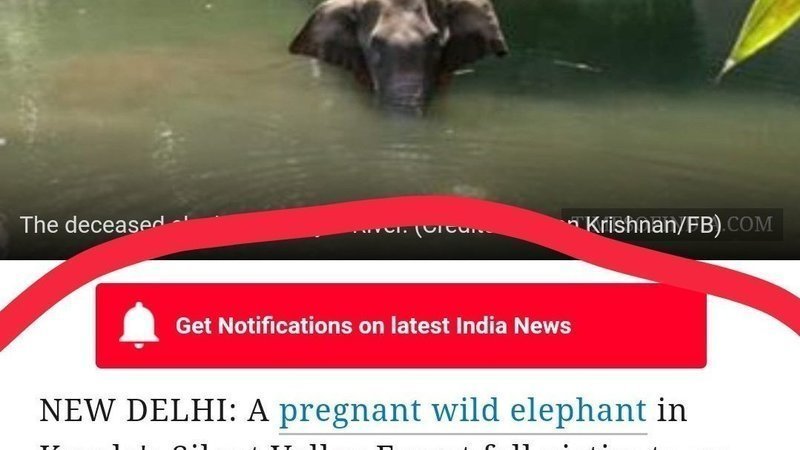 Petition Update Media S Role In Twisting Facts And Creating