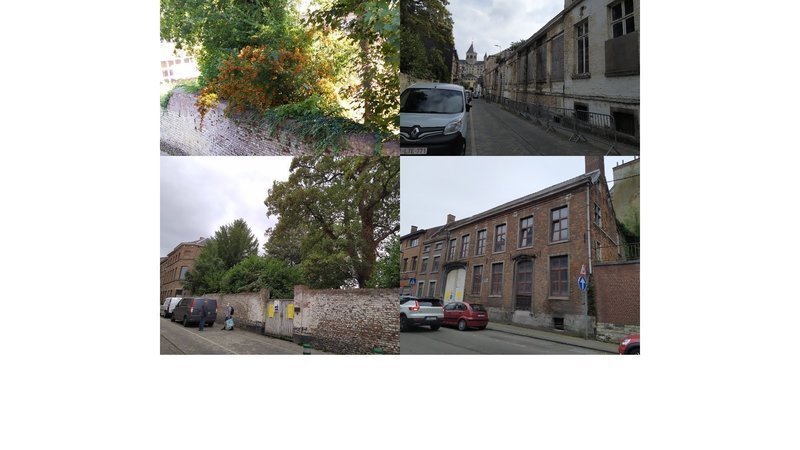 Petition Pour Une Restauration Harmonieuse De L Hotel De Rifflart Et De Son Jardin Arbore Change Org Petition Pour Une Restauration Harmonieuse De L Hotel De Rifflart Et De Son Jardin Arbore Change Org