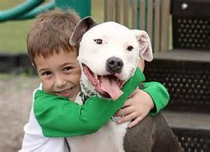 missouri dog laws missouri dog laws