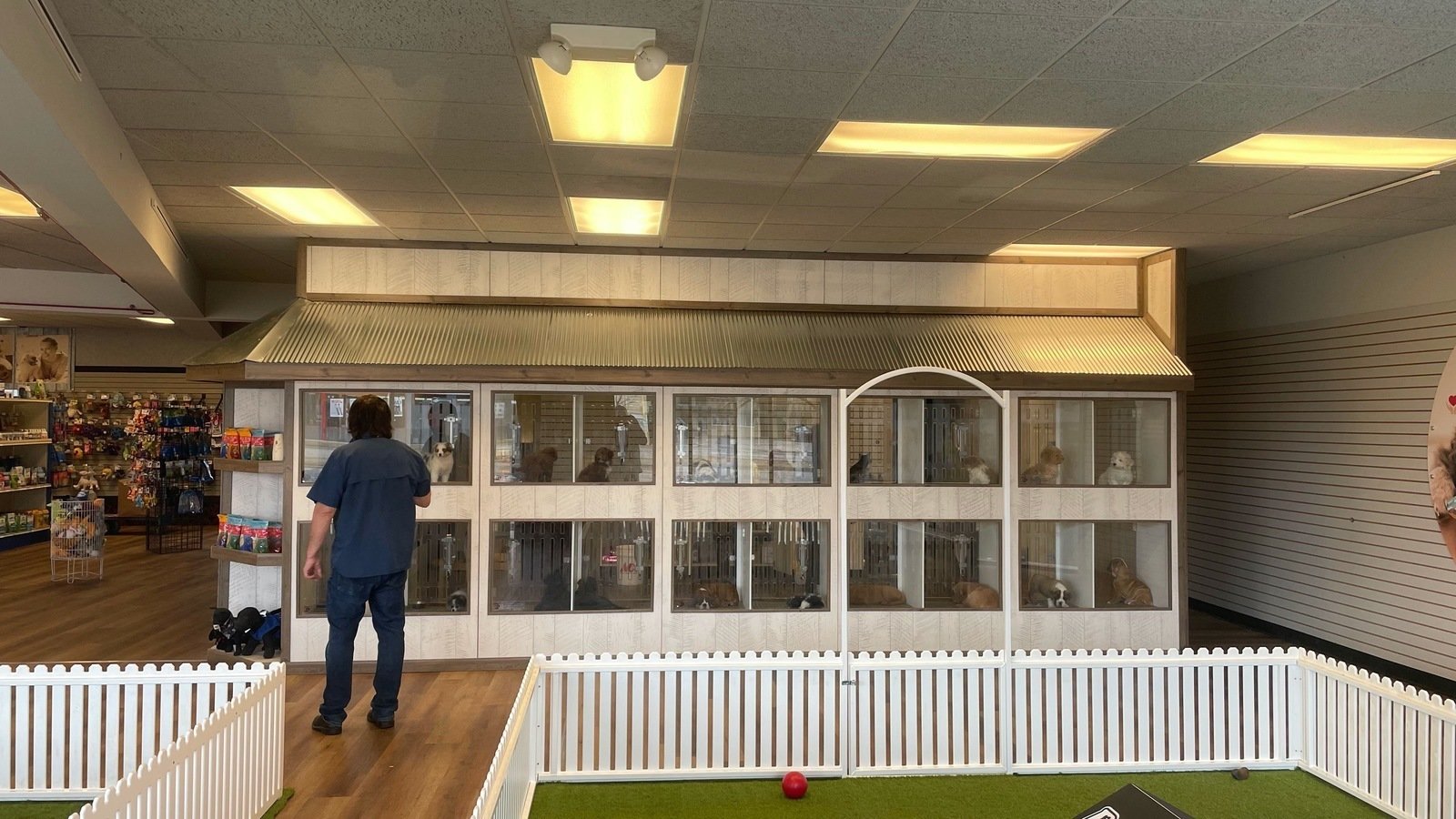 Petition · Ban Puppygram (retail puppy store) in Berkley, Michigan