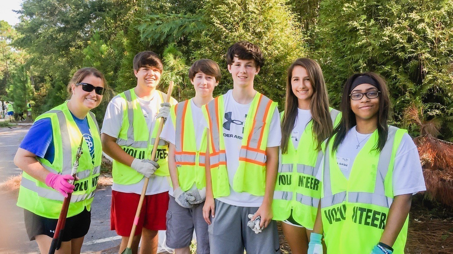 Capstone project lcps 07 image