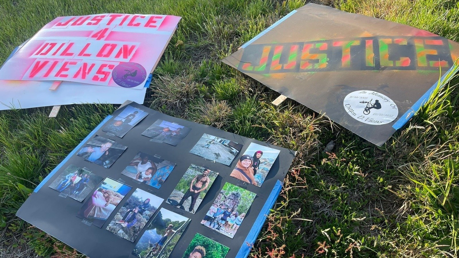 Petition · Dillon's Law United States ·