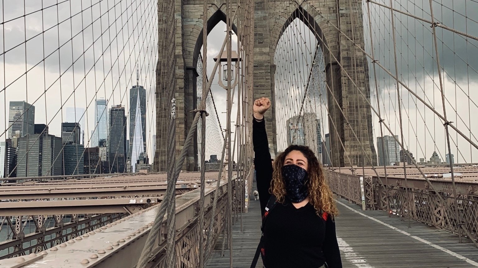 Petition · Drop Felony Charges for BLM spray painting. Lewisboro Police