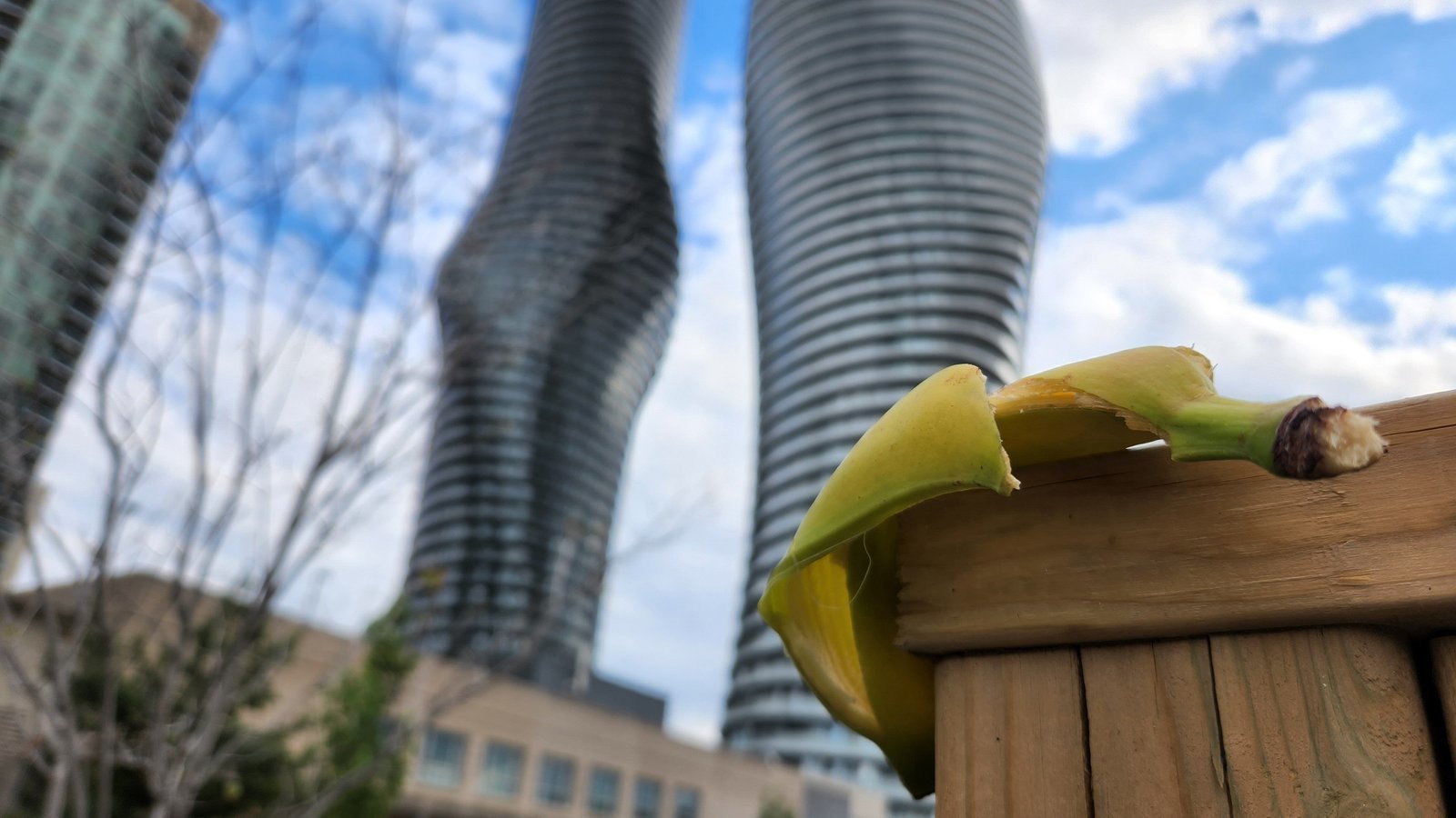 Petition · Demand Mississauga (Peel) Council Start Collecting Green Bins From Everyone