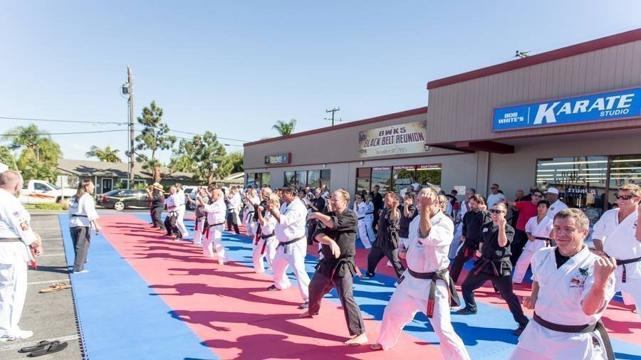 Petition · Support Bob White's Karate Studio, a member of the Costa