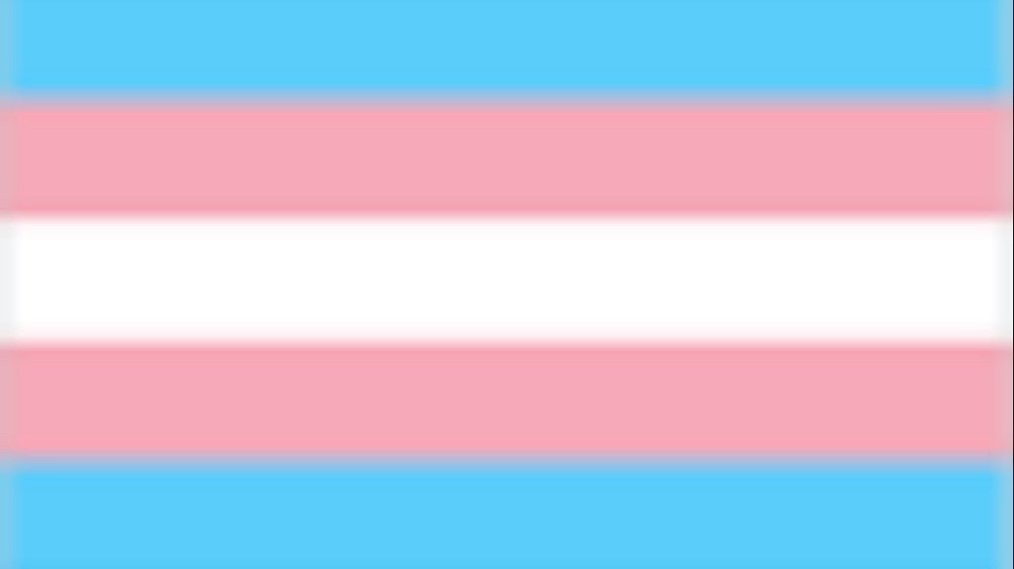 Petition · Grant access to free gender affirming services (free binders, top surgery, etc.) for