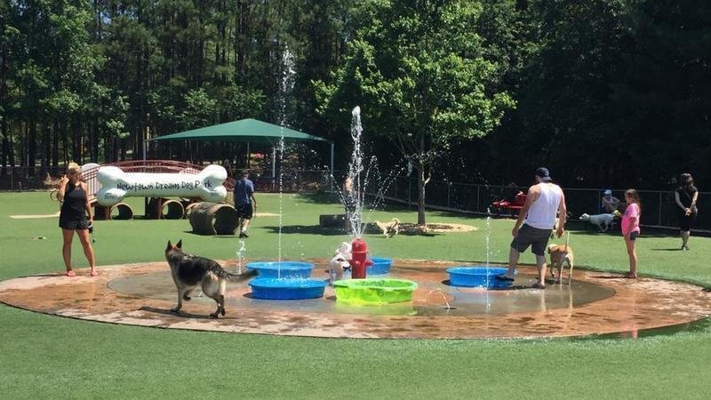 Petition · Create Public Dog Park in The Nations Neighborhood · Change.org