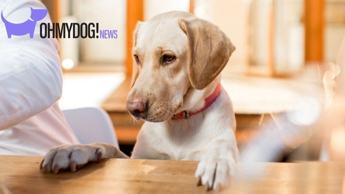 Petition · Sign to help the rest of Canada follow Alberta and make all