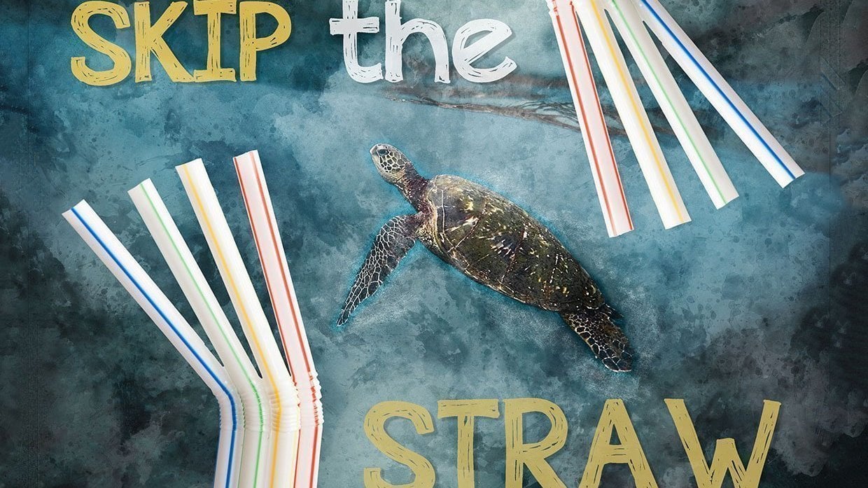 Petition · Abolish Single Use Plastic Straws United States ·