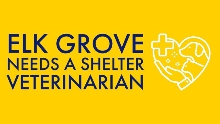 Petition · Ask the City of Elk Grove to hire a second shelter