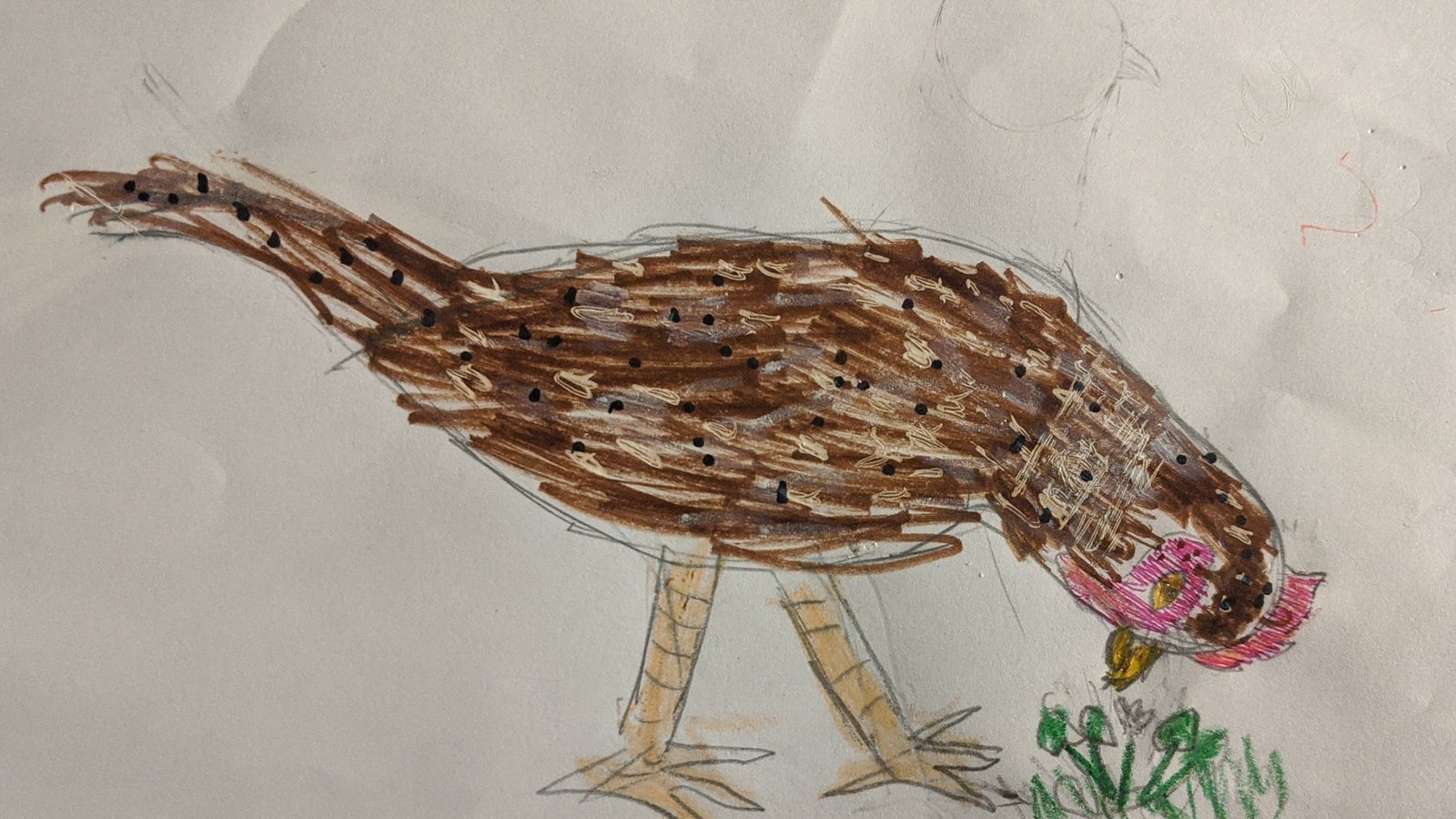 Petition · Allow backyard chickens in Prince County United