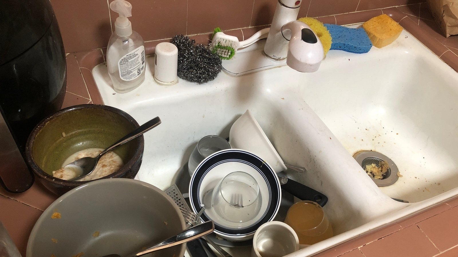 Petition · Stop leaving dishes in the sink United States ·