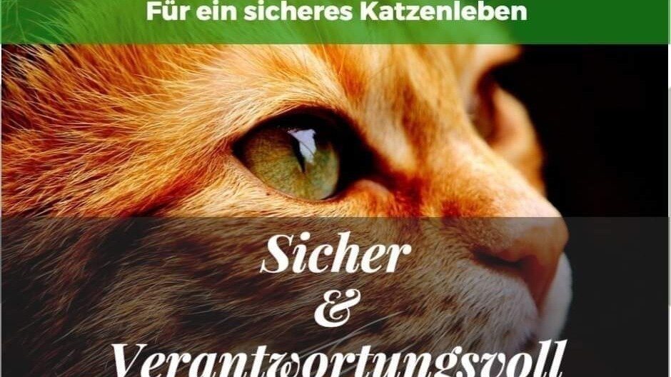 Katzen Freigang Verbieten