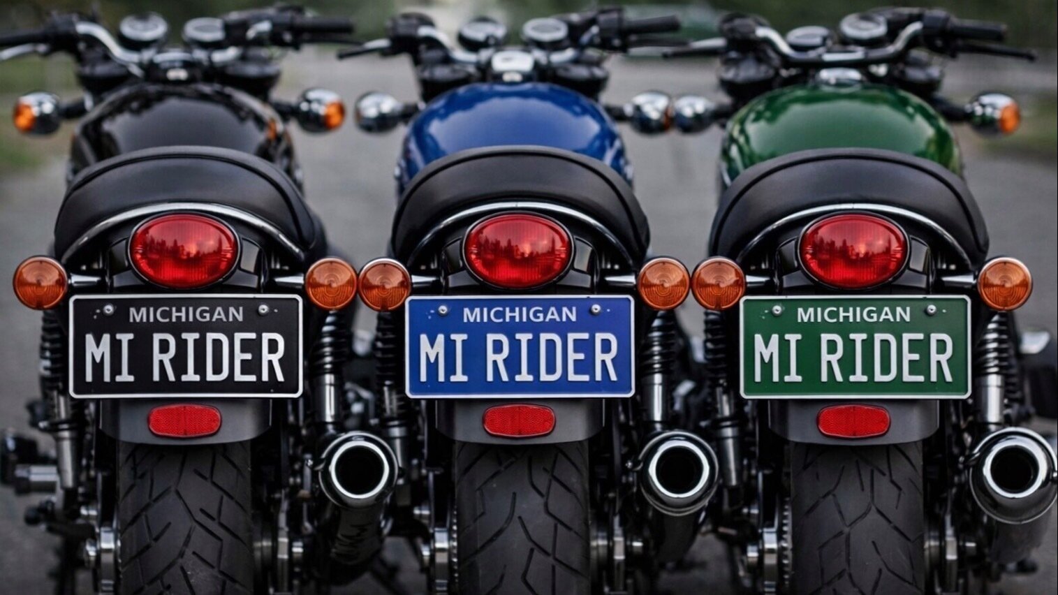 License Plate Color Filter Petition · Allow more legacy plate color options for Michigan ...