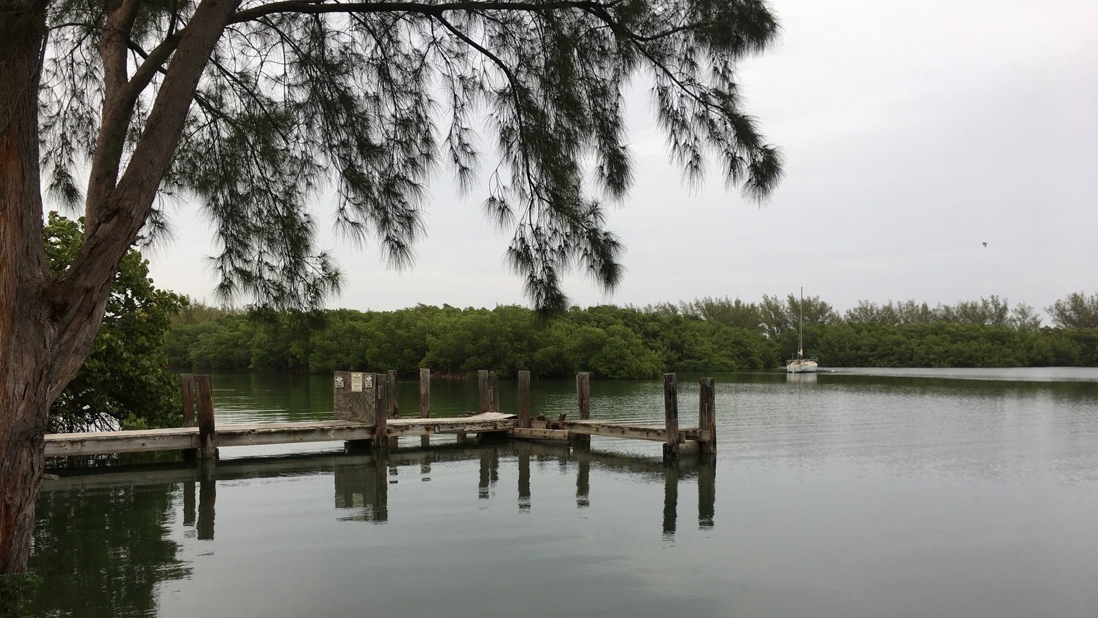 Petition · Stop the construction of a New Dock & 15 ft wide paved