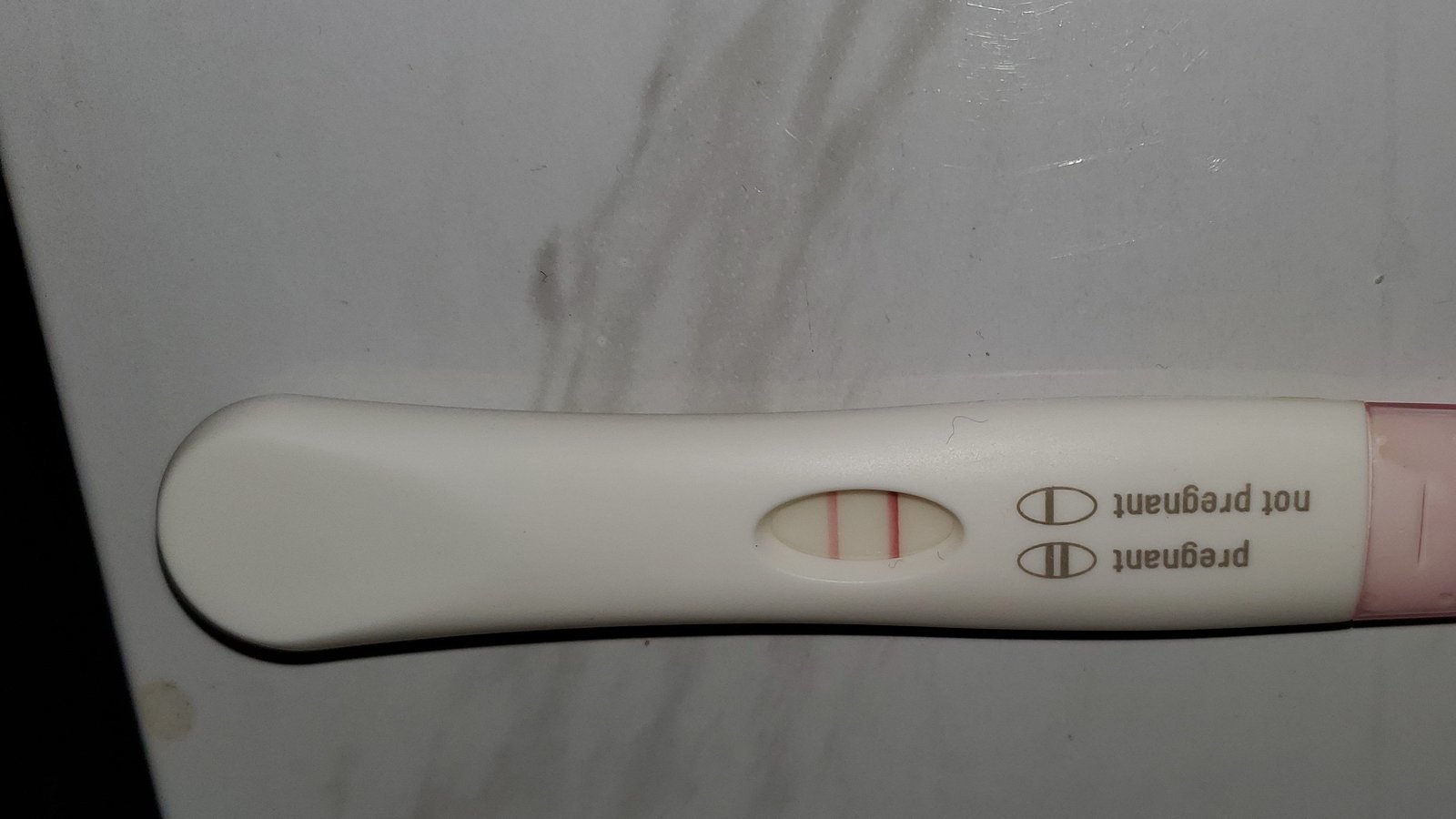 Petition · Maternity leave for Miscarriages ·