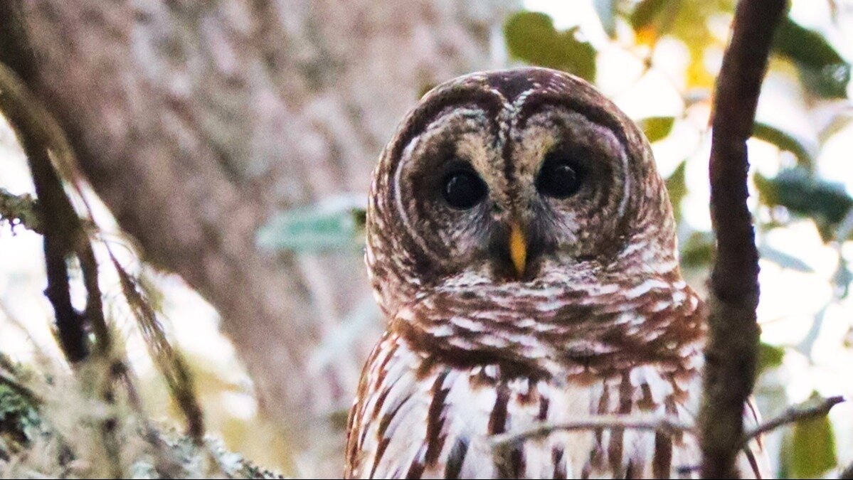 Petition · Florida Protect Jacksonville’s Hickory Creek Community From