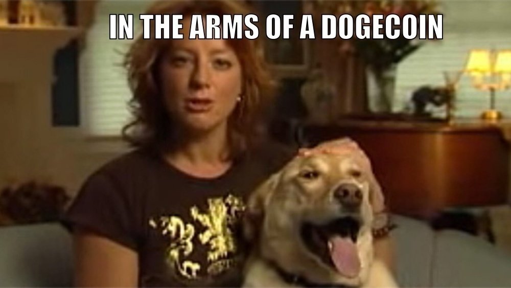 Petition Animal Lovers Unite And Help Us Get The Aspca To Accept Dogecoin Change Org Petition Animal Lovers Unite And Help Us Get The Aspca To Accept Dogecoin Change Org