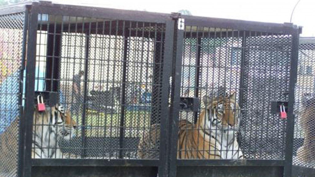 Petition · London Change the Animal Control ByLaw (PH3) to ban