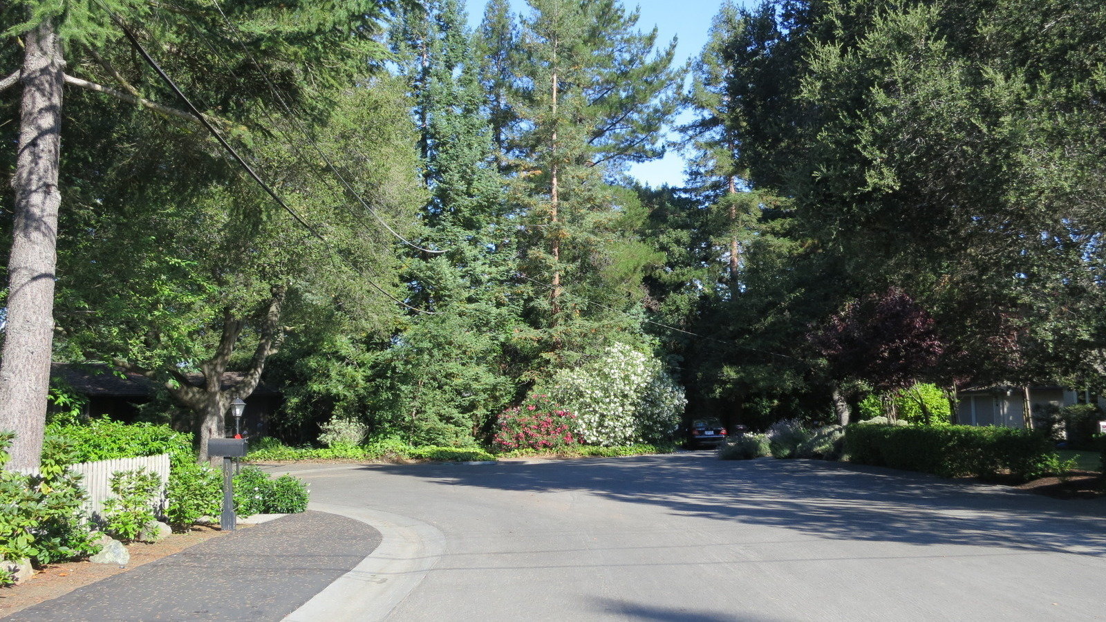 Petition · Protect Louise Street ·