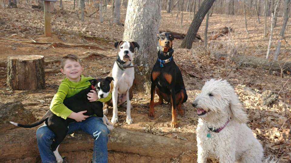 Petition · Lift the Breed Ban in Trenton, Missouri ·