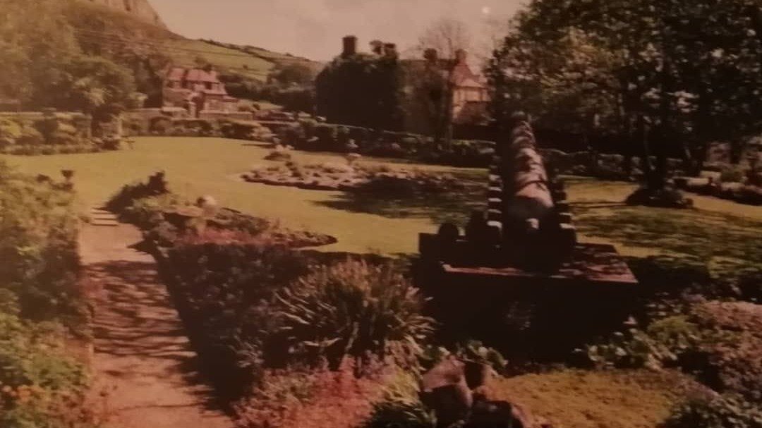 Petition · Keep the old trees at Beunos Ayres House Strandhill