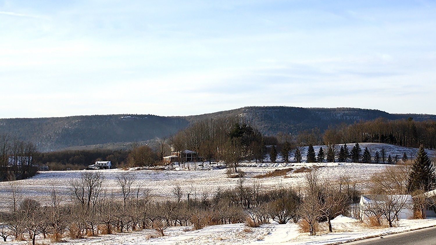 Petition · Save Our View Guilderland, United States ·