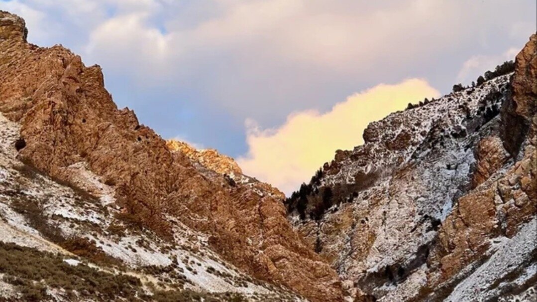 Petition · Preserve Willard Canyon, Stop the Proposed Gravel Pit